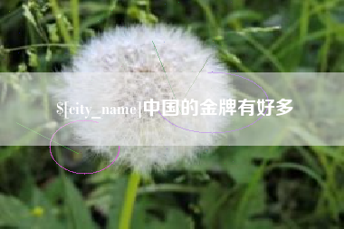 海安中国的金牌有好多