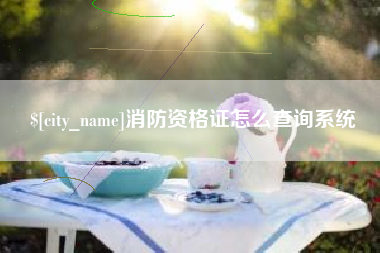 海安消防资格证怎么查询系统