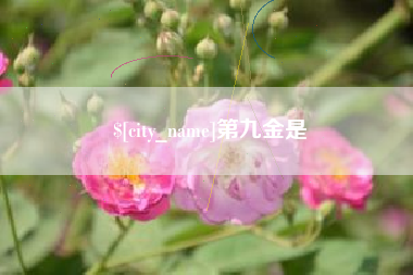 海安第九金是