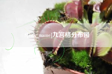 海安九宫格分布图