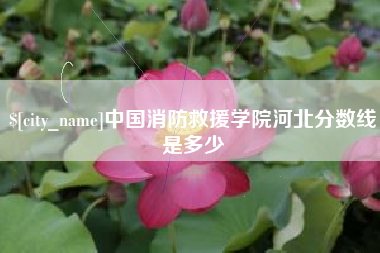 海安中国消防救援学院河北分数线是多少