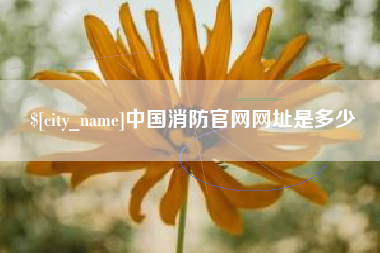 海安中国消防官网网址是多少