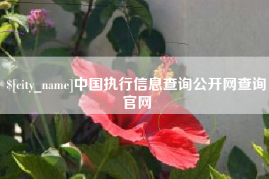 海安中国执行信息查询公开网查询官网