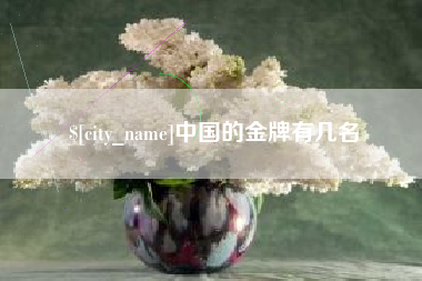 海安中国的金牌有几名