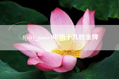 海安中国十九枚金牌