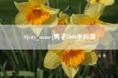 海安男子5000米标准