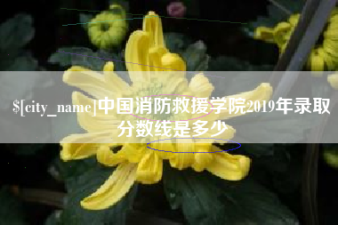 海安中国消防救援学院2019年录取分数线是多少