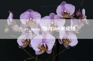 海安国内5000米成绩