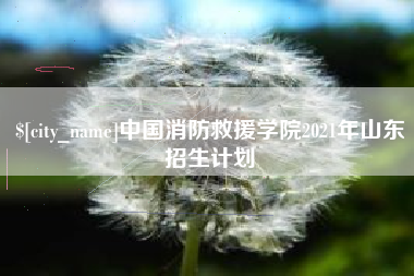 海安中国消防救援学院2021年山东招生计划