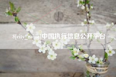海安中国执行信息公开平台