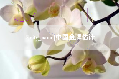 海安中国金牌估计
