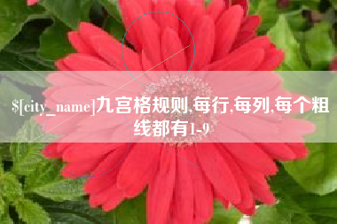 海安九宫格规则,每行,每列,每个粗线都有1-9