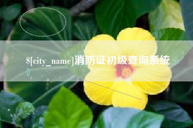 海安消防证初级查询系统
