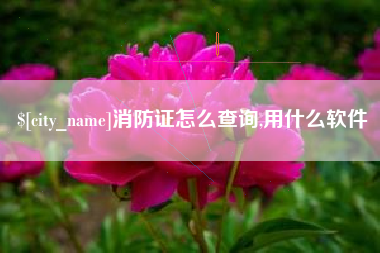 海安消防证怎么查询,用什么软件