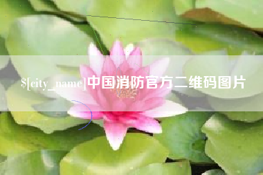 海安中国消防官方二维码图片