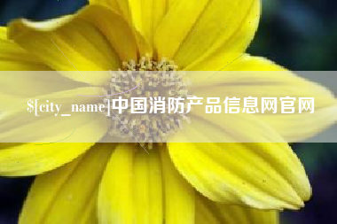 海安中国消防产品信息网官网