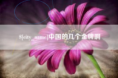 海安中国的几个金牌啊