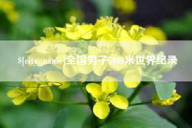海安全国男子5000米世界纪录