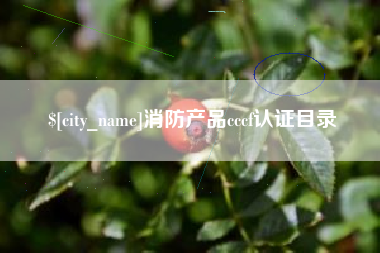 海安消防产品cccf认证目录