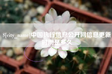 海安中国执行信息公开网信息更新时间是多久