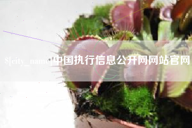 海安中国执行信息公开网网站官网