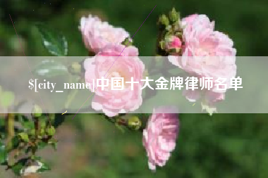海安中国十大金牌律师名单