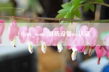 海安消防设备ccc认证