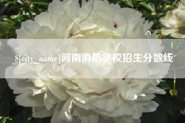海安河南消防学校招生分数线
