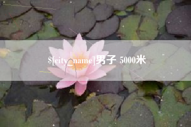 海安男子 5000米