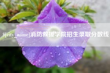 海安消防救援学院招生录取分数线