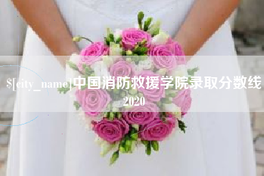 海安中国消防救援学院录取分数线2020