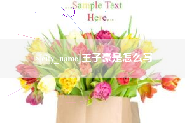 海安王子豪是怎么写