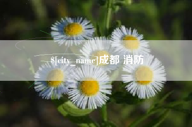 海安成都 消防