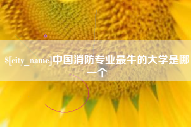 海安中国消防专业最牛的大学是哪一个