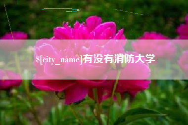海安有没有消防大学