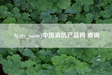 海安中国消防产品网 查询