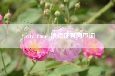 海安消控证官网查询