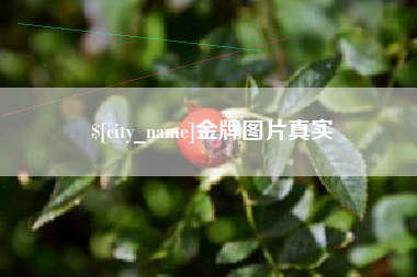 海安金牌图片真实
