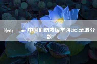 海安中国消防救援学院2021录取分数
