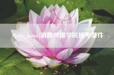 海安消防救援学院报考条件