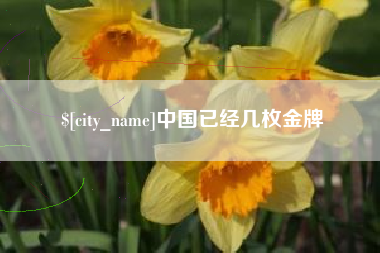 海安中国已经几枚金牌