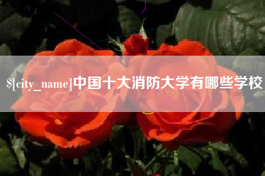 海安中国十大消防大学有哪些学校