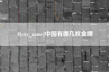 海安中国有哪几枚金牌