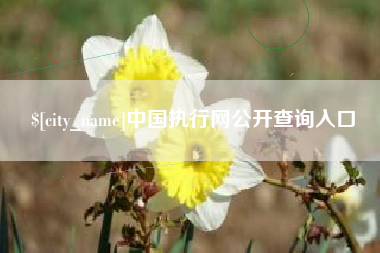 海安中国执行网公开查询入口