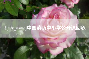 海安中国消防中小学公开课回放