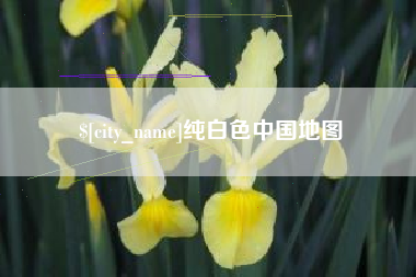 海安纯白色中国地图