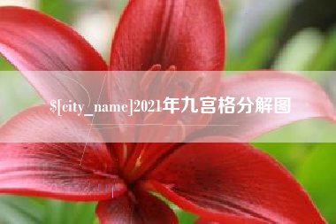 海安2021年九宫格分解图