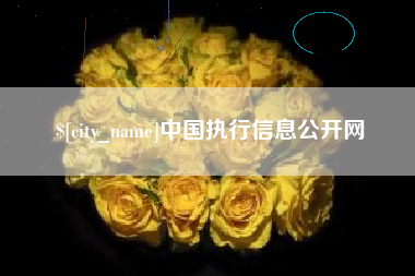 海安中国执行信息公开网