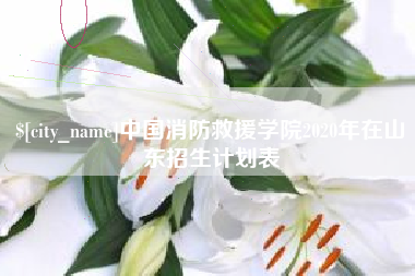 海安中国消防救援学院2020年在山东招生计划表