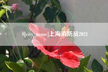 海安上海消防员2021